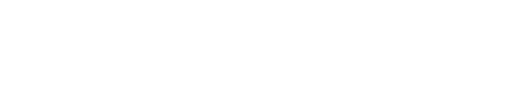 Webdesign Agentur Berlin Mitte. Onlineshop, SEO und Webentwicklung.